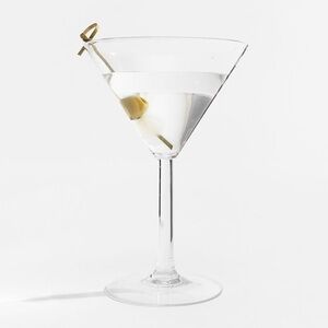 Pottery Barn Clear Martini Glasses for pool safety- Set of 2